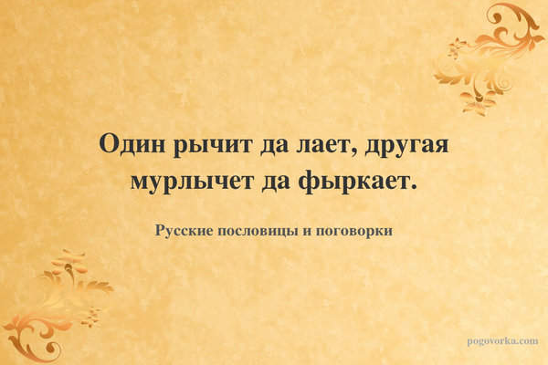Один рычит да лает, другая мурлычет да фыркает.