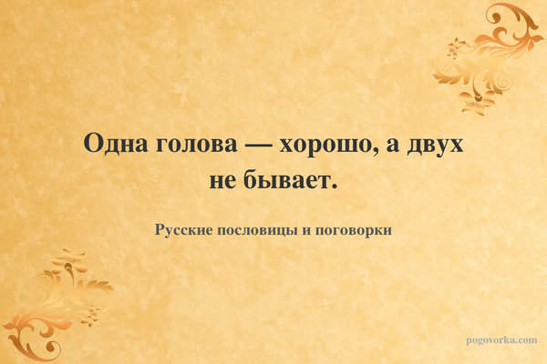 Одна голова — хорошо, а двух не бывает.