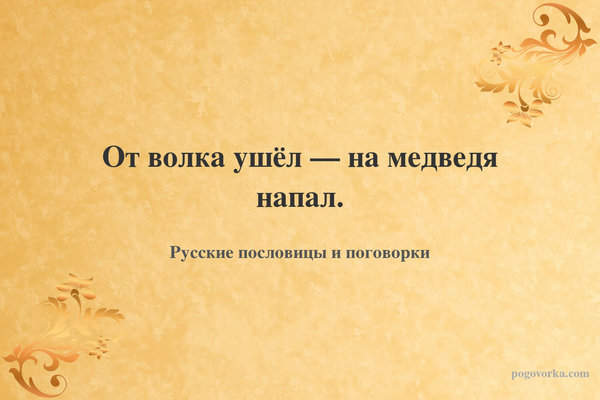 От волка ушёл — на медведя напал.