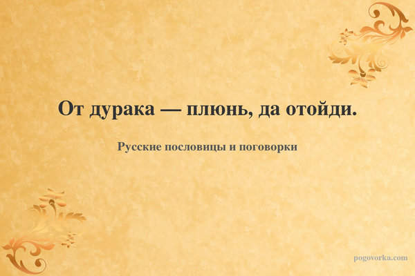 От дурака — плюнь, да отойди.