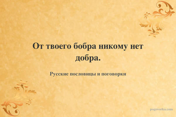 От твоего бобра никому нет добра.