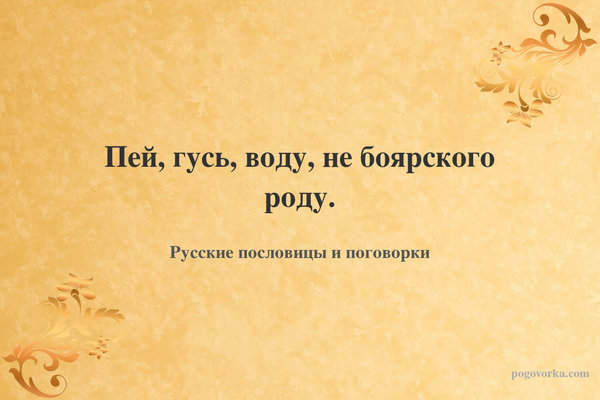Пей, гусь, воду, не боярского роду.
