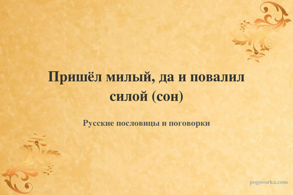 Пришёл милый, да и повалил силой (сон)