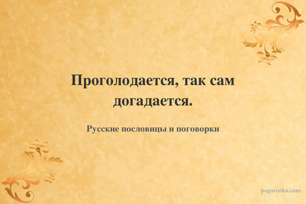 Проголодается, так сам догадается.