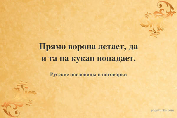 Прямо ворона летает, да и та на кукан попадает.