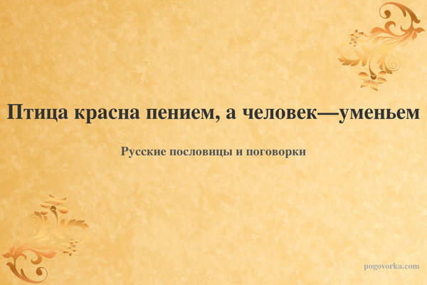 Птица красна пением, а человек—уменьем