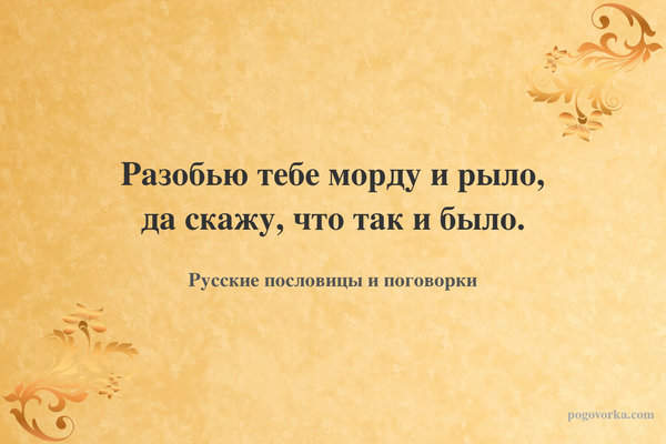 Разобью тебе морду и рыло, да скажу, что так и было.