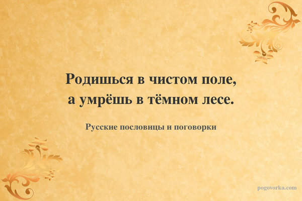 Родишься в чистом поле, а умрёшь в тёмном лесе.