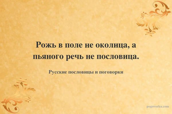 Рожь в поле не околица, а пьяного речь не пословица.