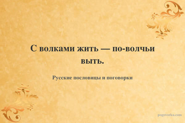 С волками жить — по-волчьи выть.
