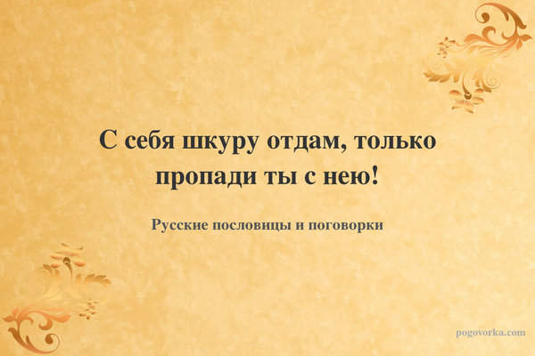 С себя шкуру отдам, только пропади ты с нею!