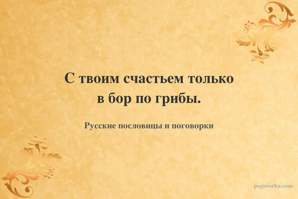 С твоим счастьем только в бор по грибы.
