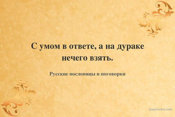 С умом в ответе, а на дураке нечего взять.