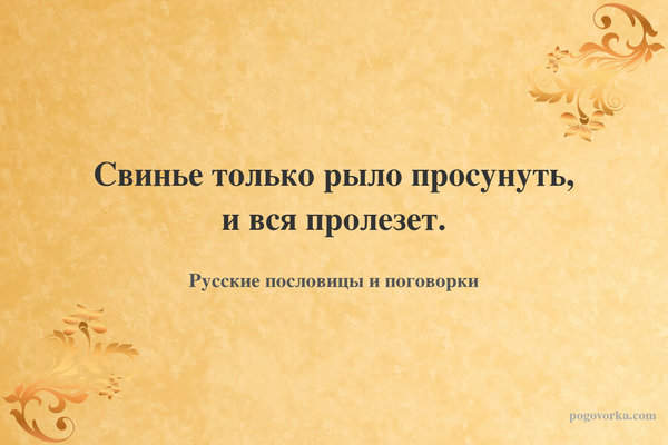 Свинье только рыло просунуть, и вся пролезет.