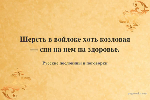 Шерсть в войлоке хоть козловая — спи на нем на здоровье.