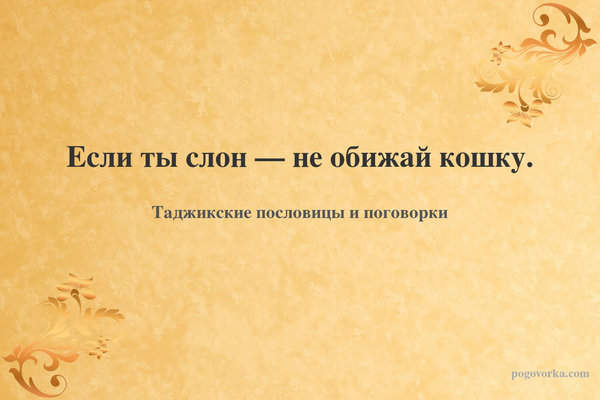 Если ты слон — не обижай кошку.