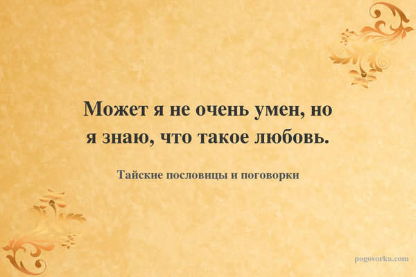 Может я не очень умен, но я знаю, что такое любовь.