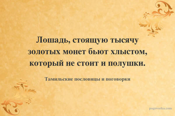 Лошадь, стоящую тысячу золотых монет бьют хлыстом, который не стоит и полушки.