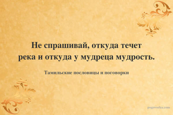 Не спрашивай, откуда течет река и откуда у мудреца мудрость.
