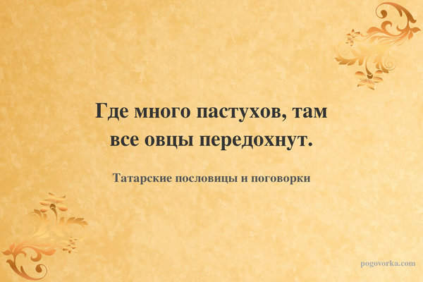 Где много пастухов, там все овцы передохнут.