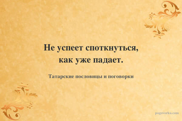 Не успеет споткнуться, как уже падает.