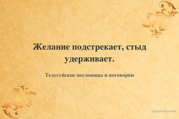 Желание подстрекает, стыд удерживает.