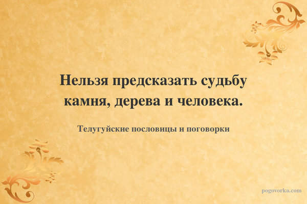 Нельзя предсказать судьбу камня, дерева и человека.