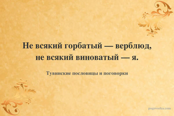 Не всякий горбатый — верблюд, не всякий виноватый — я.