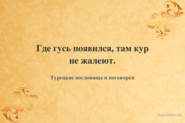 Где гусь появился, там кур не жалеют.