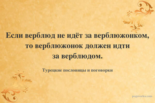 Если верблюд не идёт за верблюжонком, то верблюжонок должен идти за верблюдом.