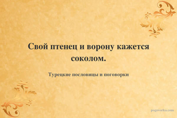 Свой птенец и ворону кажется соколом.