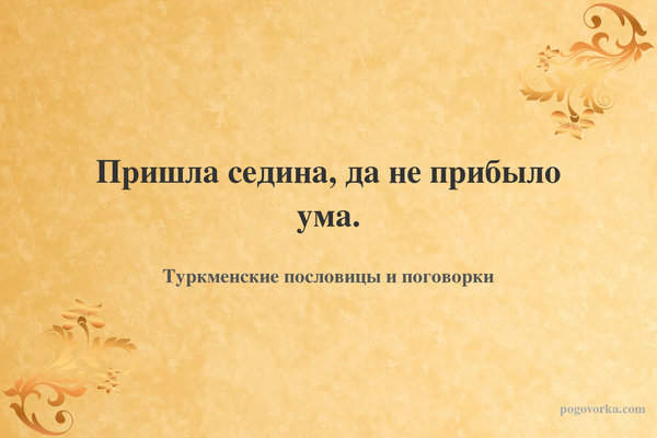 Пришла седина, да не прибыло ума.