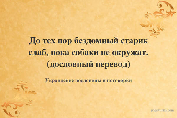 До тех пор бездомный старик слаб, пока собаки не окружат. (дословный перевод)