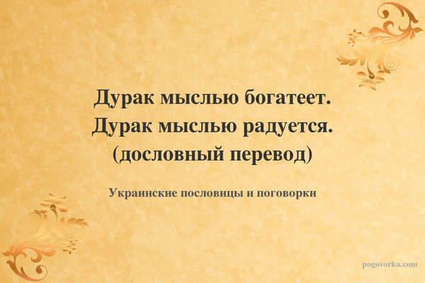 Дурак мыслью богатеет. Дурак мыслью радуется. (дословный перевод)