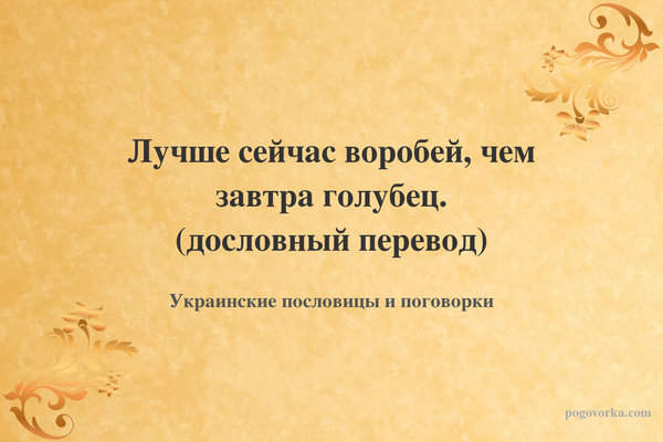 Лучше сейчас воробей, чем завтра голубец. (дословный перевод)