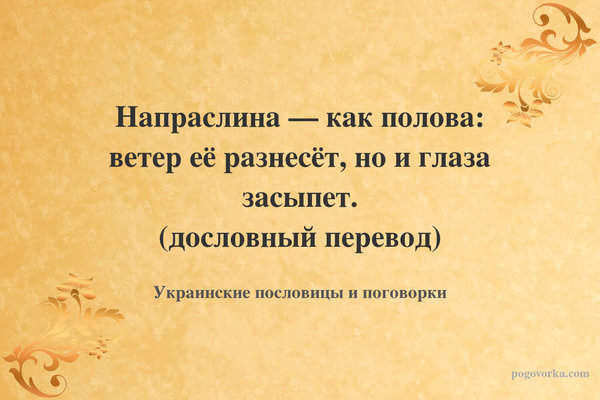 Напраслина — как полова: ветер её разнесёт, но и глаза засыпет. (дословный перевод)