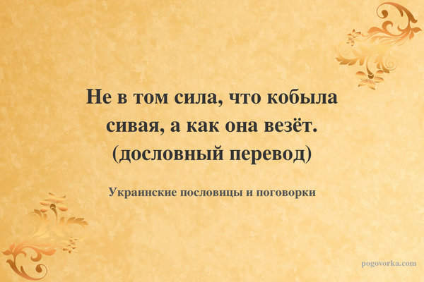 Не в том сила, что кобыла сивая, а как она везёт. (дословный перевод)