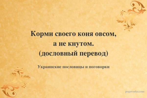Корми своего коня овсом, а не кнутом. (дословный перевод)