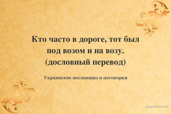 Кто часто в дороге, тот был под возом и на возу. (дословный перевод)