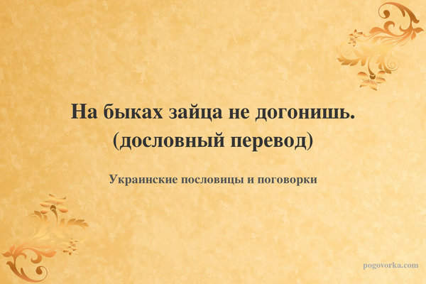 На быках зайца не догонишь. (дословный перевод)