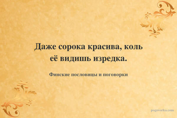 Даже сорока красива, коль её видишь изредка.