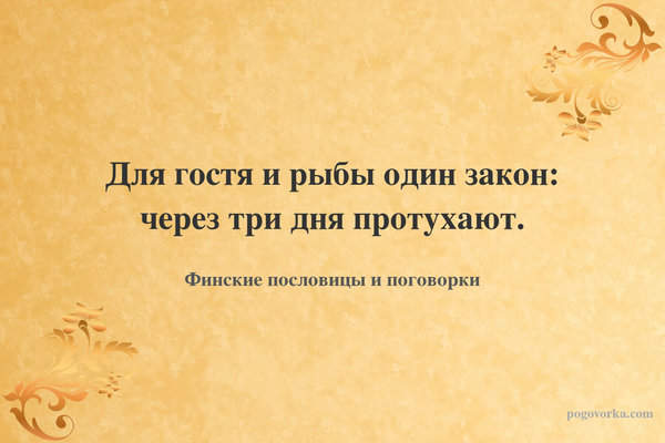 Для гостя и рыбы один закон: через три дня протухают.