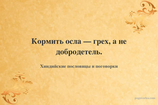 Кормить осла — грех, а не добродетель.