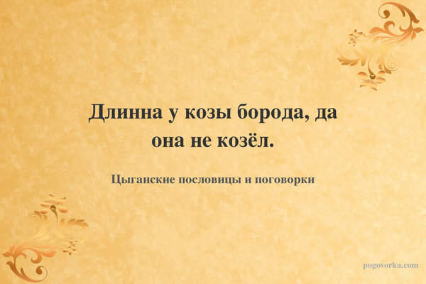 Длинна у козы борода, да она не козёл.