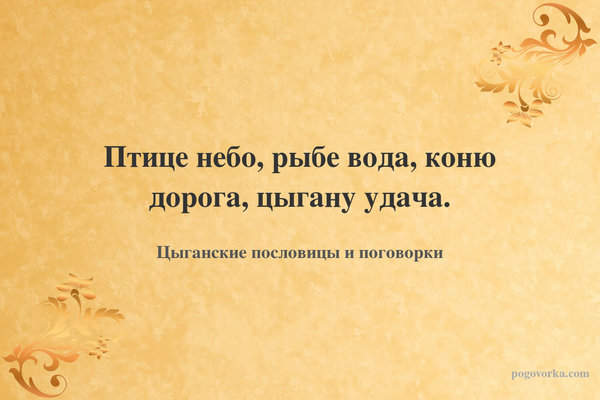 Птице небо, рыбе вода, коню дорога, цыгану удача.