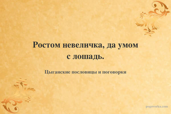 Ростом невеличка, да умом с лошадь.