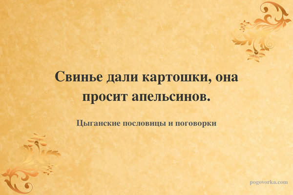 Свинье дали картошки, она просит апельсинов.