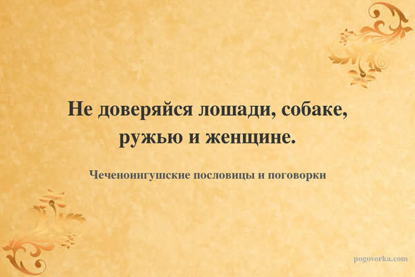 Не доверяйся лошади, собаке, ружью и женщине.
