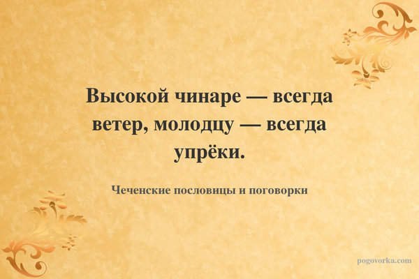 Высокой чинаре — всегда ветер, молодцу — всегда упрёки.