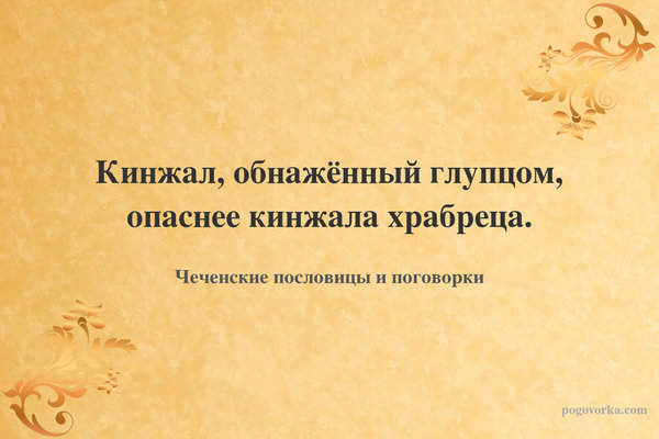 Кинжал, обнажённый глупцом, опаснее кинжала храбреца.